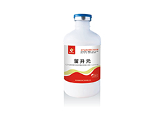 留升元